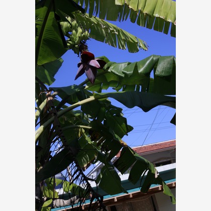 写真屋gonree　阿波根里恵が撮影した店舗/オフィス/サロン撮影の写真