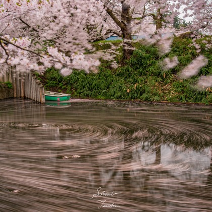Shintaro Tsushimaが撮影した店舗/オフィス/サロン撮影の写真