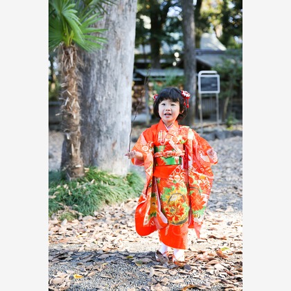 KOMOREBI Photo.　大如　耕平が撮影した七五三フォトの写真