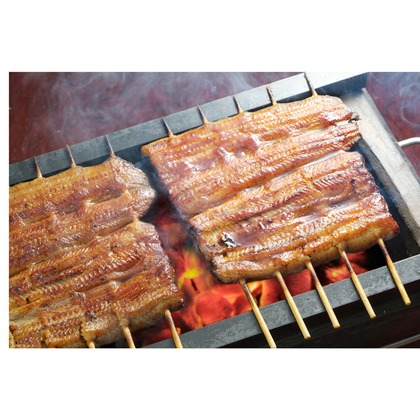 舩津　孝が撮影した「:albumName」の写真