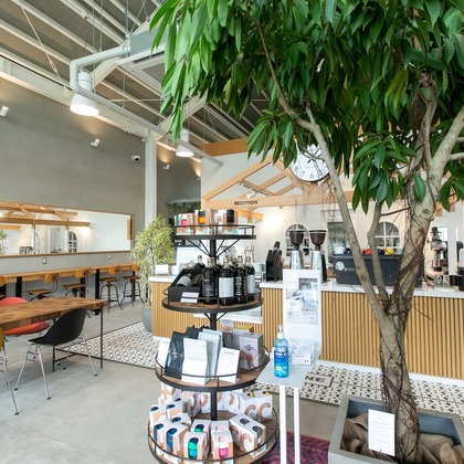 HARAデザインが撮影したウェディングや家族、ビジネスの写真