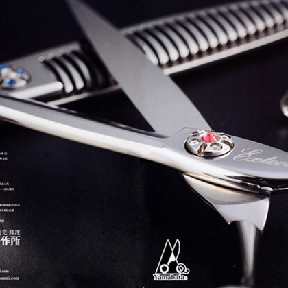 ワンツーBフォトが撮影した「:albumName」の写真