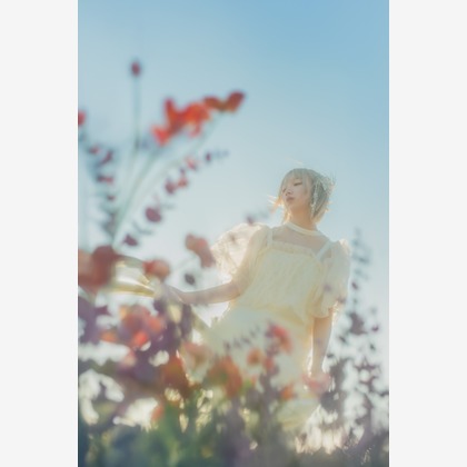 Veilが撮影したウェディングや家族、ビジネスの写真