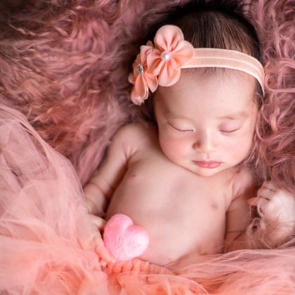 辻本 杏奈が撮影したウェディングや家族、ビジネスの写真