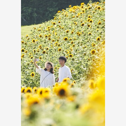 吉本悠哉が撮影した「ウェディング前撮り」の写真