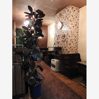 柴田美穂が撮影した店舗/オフィス/サロン撮影の写真