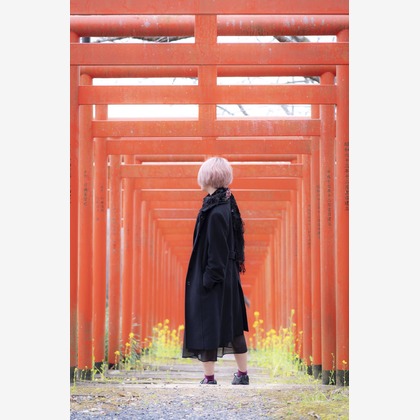 ならもとかずやが撮影した「:albumName」の写真