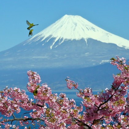 溝口崇が撮影した「:albumName」の写真