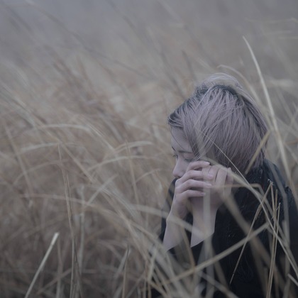 ならもとかずやが撮影した「:albumName」の写真