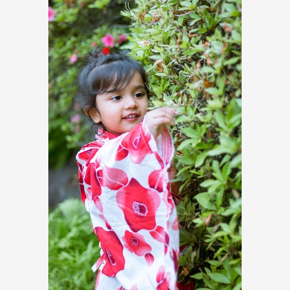 Surabhi Singhが撮影した「:albumName」の写真