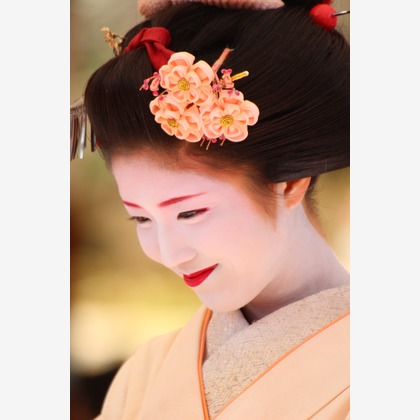 ひときわphotoが撮影した「屋外撮影など」の写真