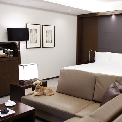 村田わかな広告写真が撮影した店舗/オフィス/サロン撮影の写真