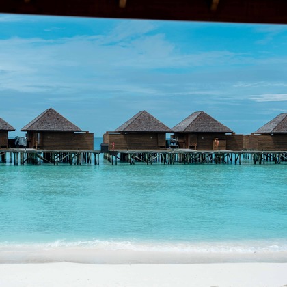 oryo studioが撮影したウェディングや家族、ビジネスの写真