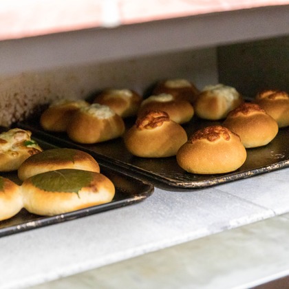 光画堂スタジオが撮影したウェディングや家族、ビジネスの写真