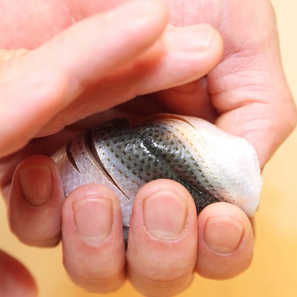 森安　照が撮影した「:albumName」の写真