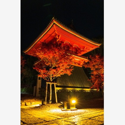 堀田佳資が撮影したその他の写真