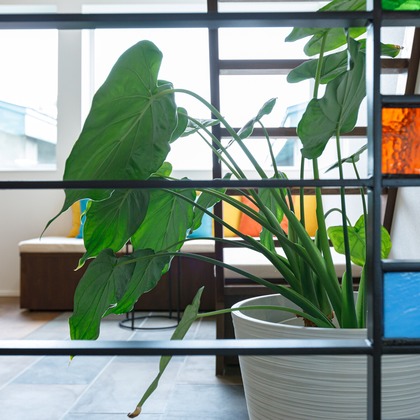 uno e creative act.が撮影した不動産/竣工の写真