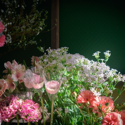 戸澤麻衣が撮影した「:albumName」の写真