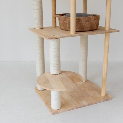 株式会社トリプルスタンダードが撮影した「:albumName」の写真