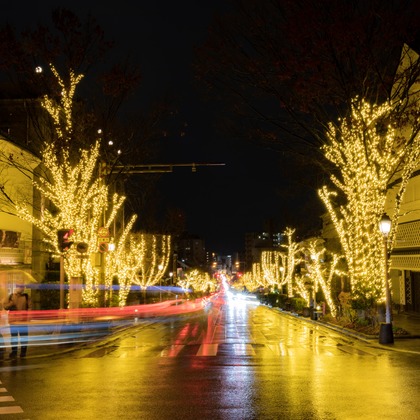 光画堂スタジオが撮影したウェディングや家族、ビジネスの写真