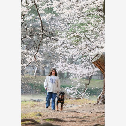 株式会社Neo-Smile 「locationbreeze」高橋 徹が出張撮影した「ペット」の家族写真