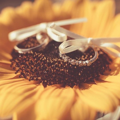  グラフィーズが撮影したウェディングや家族、ビジネスの写真