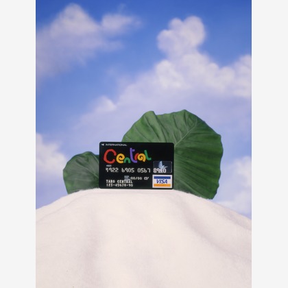 谷崎 春彦（T-Studio）が撮影した「:albumName」の写真