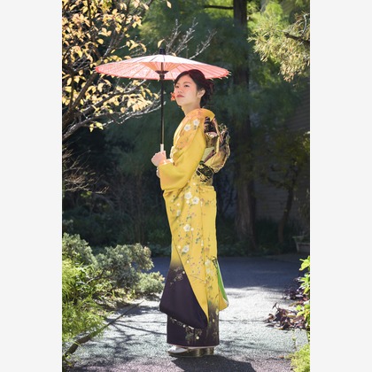 A&Y写真OFFICEが撮影したその他の写真