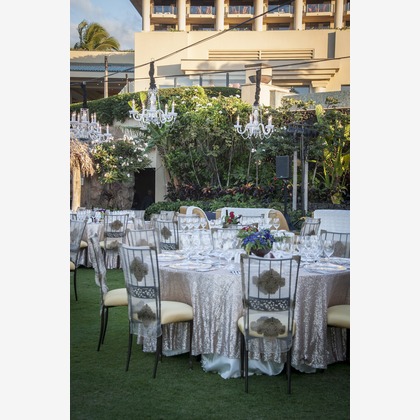 Willow Photoが撮影したウェディングや家族、ビジネスの写真