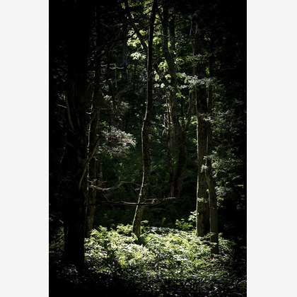 舘　典志が撮影したその他/イベント/スナップ撮影の写真