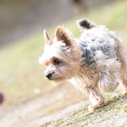 大熊和輝が撮影したウェディングや家族、ビジネスの写真