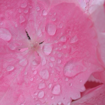 白石隆一郎が撮影した「:albumName」の写真