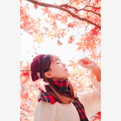 石田誠写真事務所が撮影した「:albumName」の写真