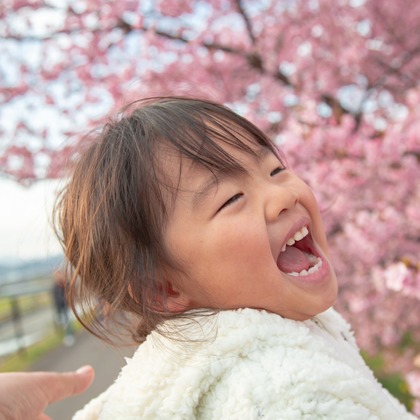 ゆのみふぉとが出張撮影した自然の中の人々, 手をつないで, 友情などが写った「桜とお写真」の家族写真