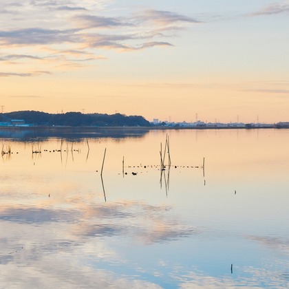 Shun Kanazawaが撮影した「:albumName」の写真