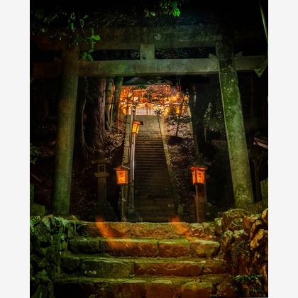 ハイナ　マテウスが撮影した「:albumName」の写真