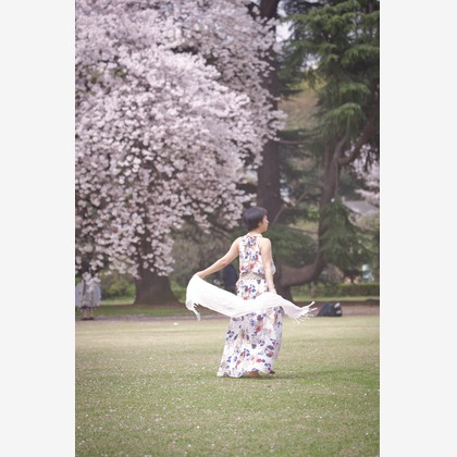 naru2photoが撮影したその他の写真