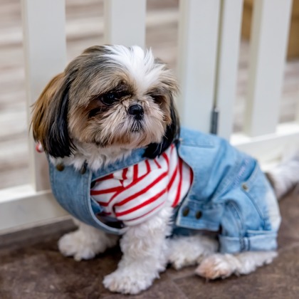 沖山俊樹が撮影した「:albumName」の写真