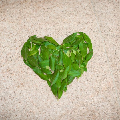 PIC WEDDING PHOTO（関口純一）が撮影した「:albumName」の写真