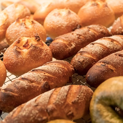 光画堂スタジオが撮影したウェディングや家族、ビジネスの写真