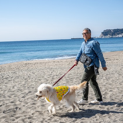 吉田佳央が撮影した「DOG SHOOTING」の写真