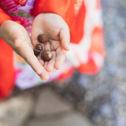 guuが撮影した「:albumName」の写真