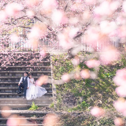 石田誠写真事務所が撮影した「:albumName」の写真