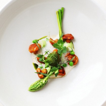 森安　照が撮影したウェディングや家族、ビジネスの写真