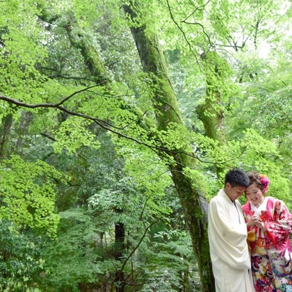 Photo of Pre Weddingphotoshoot at Nara in a fresh green taken by Kiki photo works