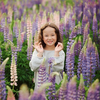 ヒラタ・ジェームズが撮影した「:albumName」の写真