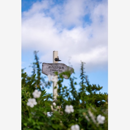 株式会社ラプラスが撮影したその他の写真