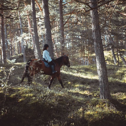 Jacek Cichopekが撮影した「:albumName」の写真