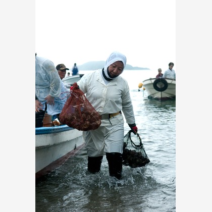 ワンツーBフォトが撮影した「:albumName」の写真