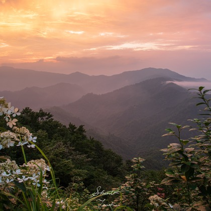 Shintaro Tsushimaが撮影した店舗/オフィス/サロン撮影の写真